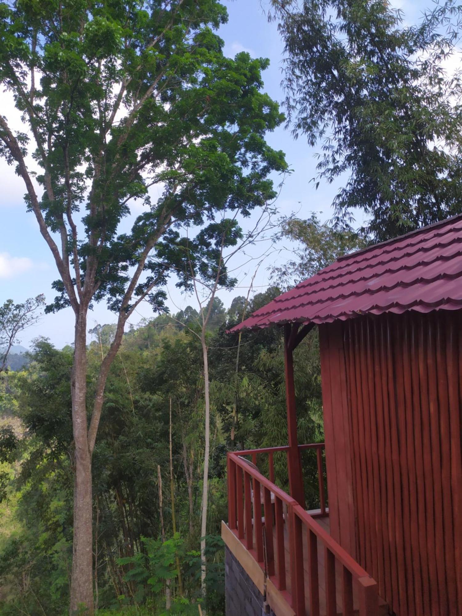 Happy Monkeys Village Sidomukti Exterior photo